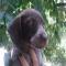 GPAR :: Grupo de Protección Animal de Rute