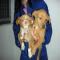 GPAR :: Grupo de Protección Animal de Rute