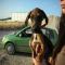 GPAR :: Grupo de Protección Animal de Rute